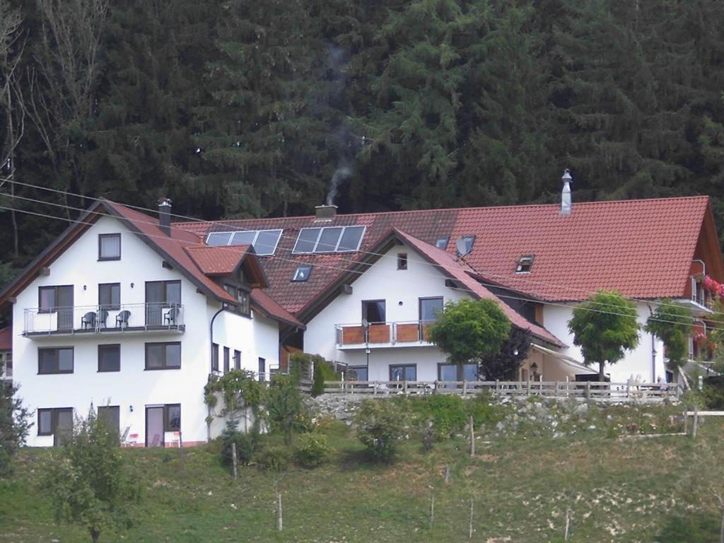 Gasthof Gruener Baum "Kongo" Amtzell Exterior photo
